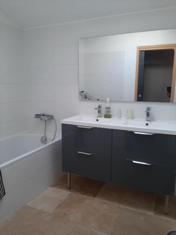 een badkamer met een wastafel, een spiegel en een bad bij Chez Monique et Rémi in Avignon