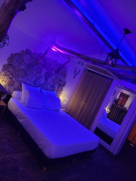 LOVE Room Danslesbois avec spa في كوجيس ليه بينس: غرفة نوم مع سرير مع إضاءة أرجوانية