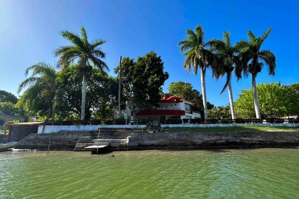 a large body of water with palm trees and a building at La siempre bella Tamiahua in Tamiahua