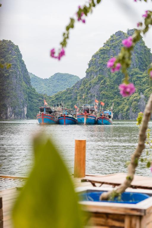 Lan Ha Floating Homestay - 14