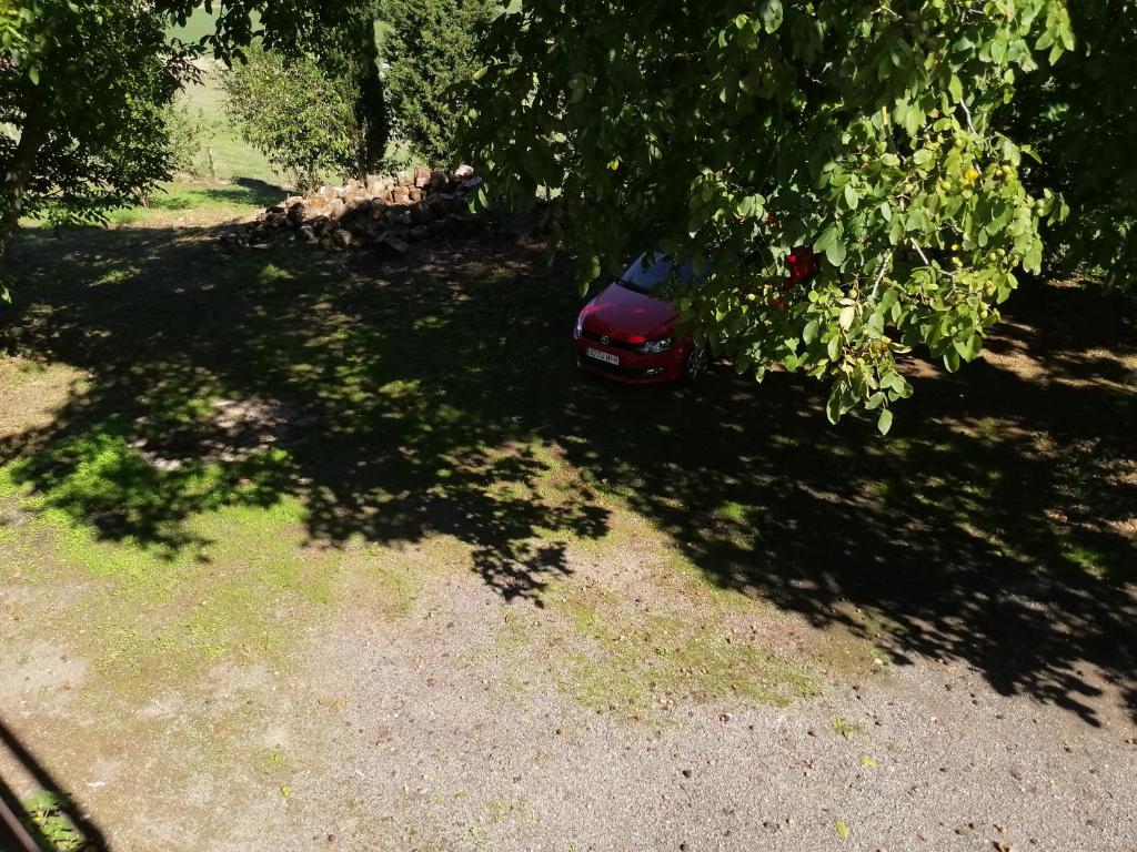 Zahrada ubytování Pension Parrilla Casa Vicente