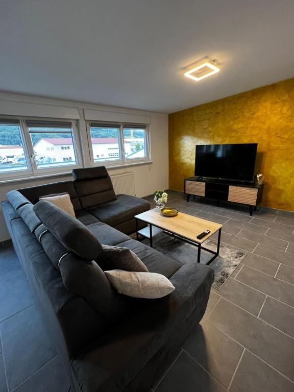 TV a/nebo společenská místnost v ubytování Ferienwohnung Bad Säckingen