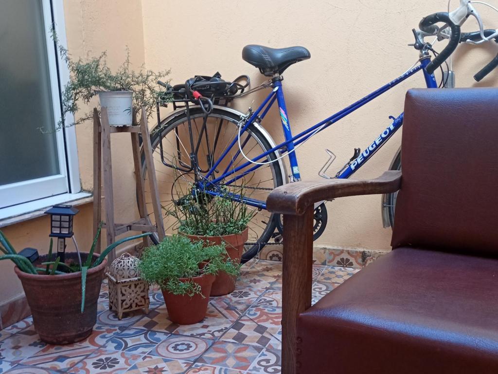 Jízda na kole v ubytování Hostel Allegro nebo okolí