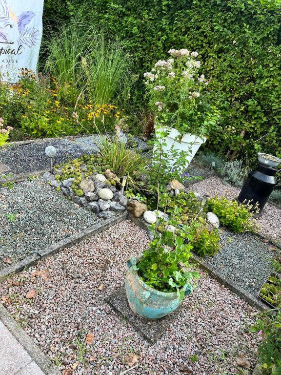 een tuin met een pot met planten erin bij Floß /Sistemich in Hoek