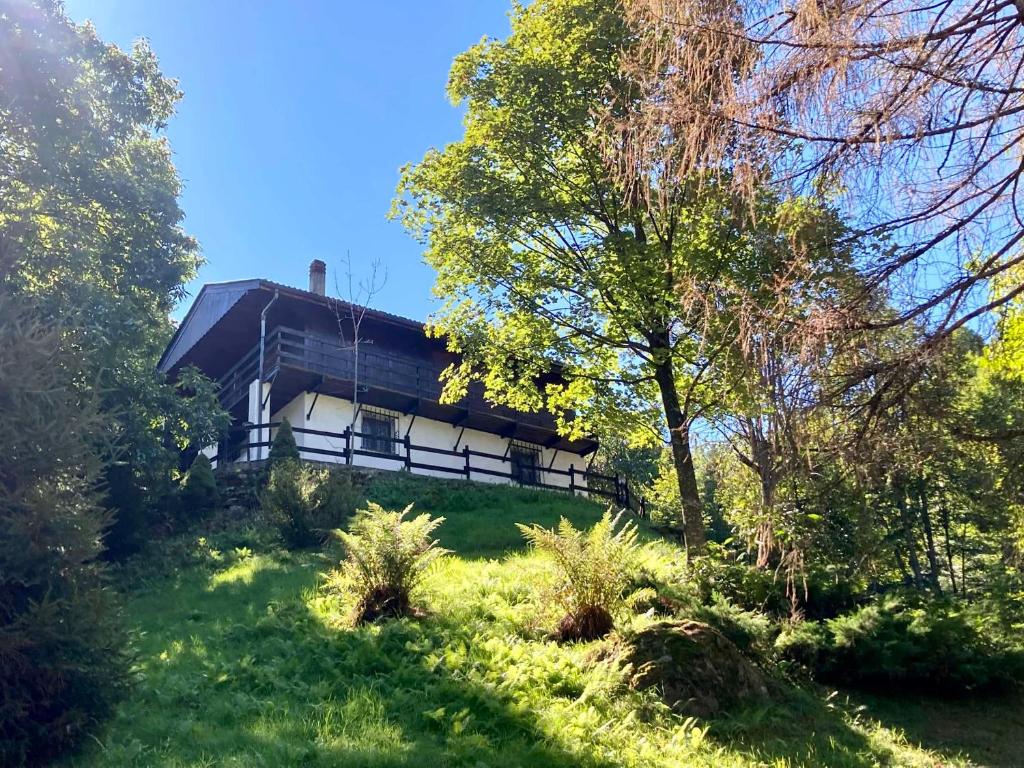 a house on a hill with grass and trees at Superb Chalet Monterosa in Anzino