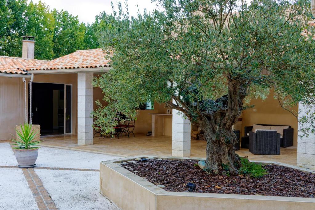 a tree in front of a house with a patio at L'Hacienda in Les Mathes