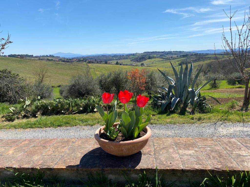 a flower pot with red tulips in it at La Belle Maison in Siena