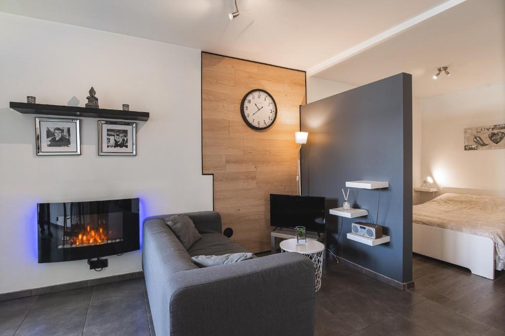 sala de estar con sofá y chimenea en Les Figuiers - Appartement Cozy avec Jardin, en Andenne