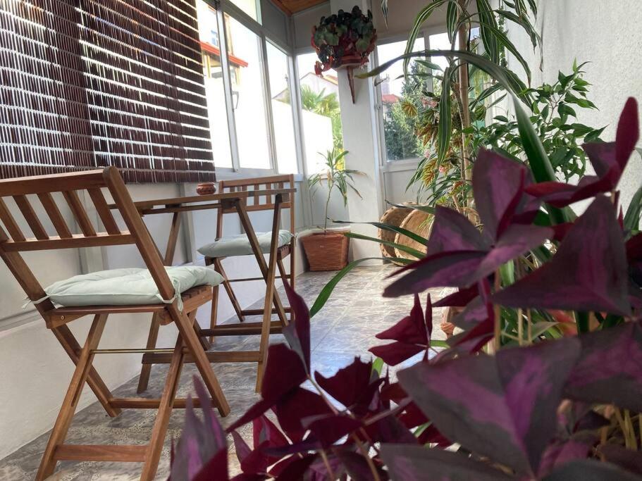 een kamer met een tafel, stoelen en planten bij HyP - Casa Chalo in Sotomayor