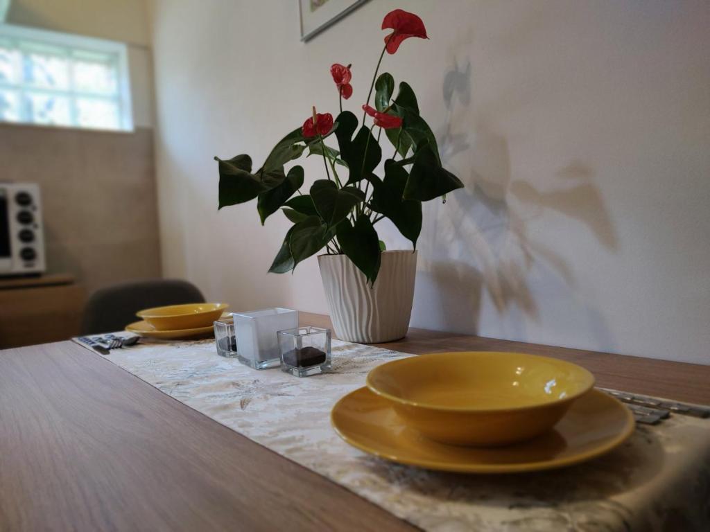 Fotografie z fotogalerie ubytování Apartman Orhideja v destinaci Novi Banovci