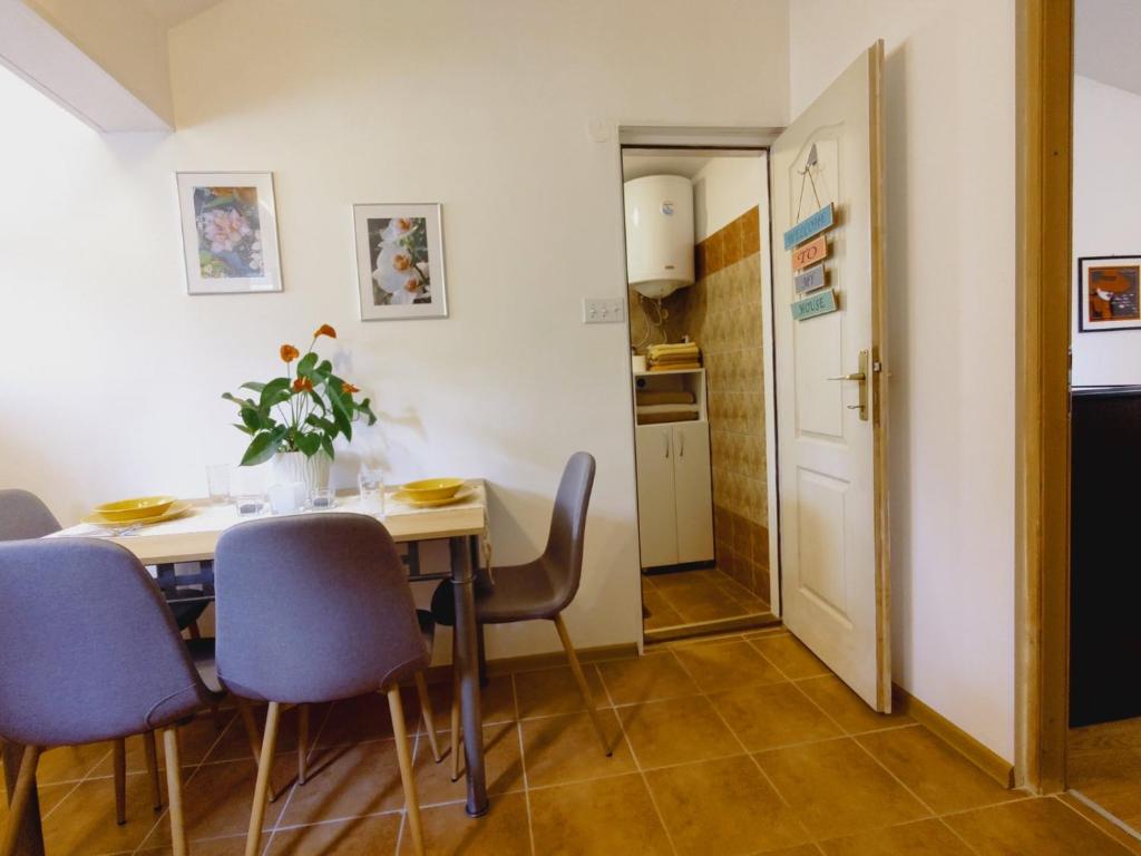 Kuchyň nebo kuchyňský kout v ubytování Apartman Orhideja