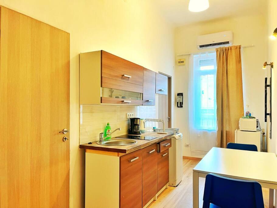 eine Küche mit einer Spüle und einer Arbeitsplatte in der Unterkunft Central Studio Flat in Budapest