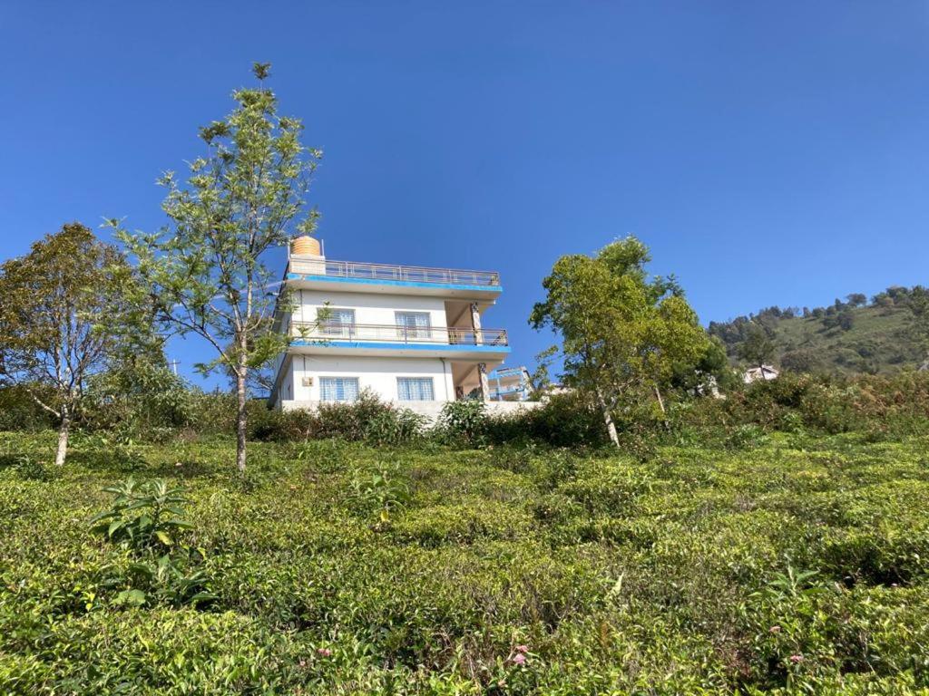 a house on top of a hill with trees at Sandy 4 Bhk Homestay - Only Adults Allowed in Ooty