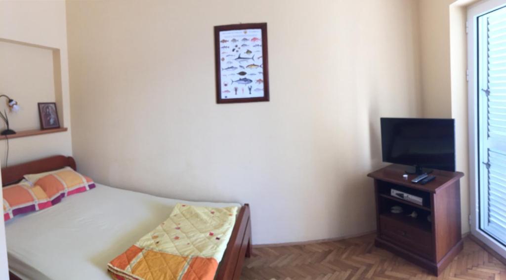 Uma televisão e/ou sistema de entretenimento em Apartments Pejanović