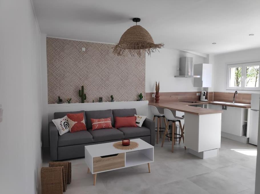 un salon avec un canapé et une cuisine dans l'établissement Maison indépendante avec terrasse, jardin & parking privé, à Hérépian