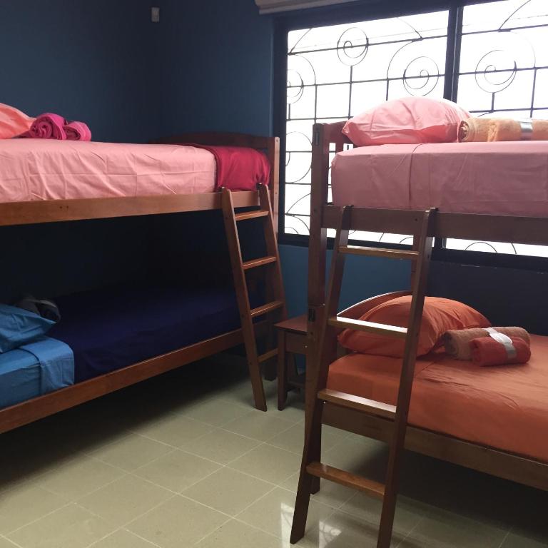 Voodi või voodid majutusasutuse Panama Hat Hostel toas
