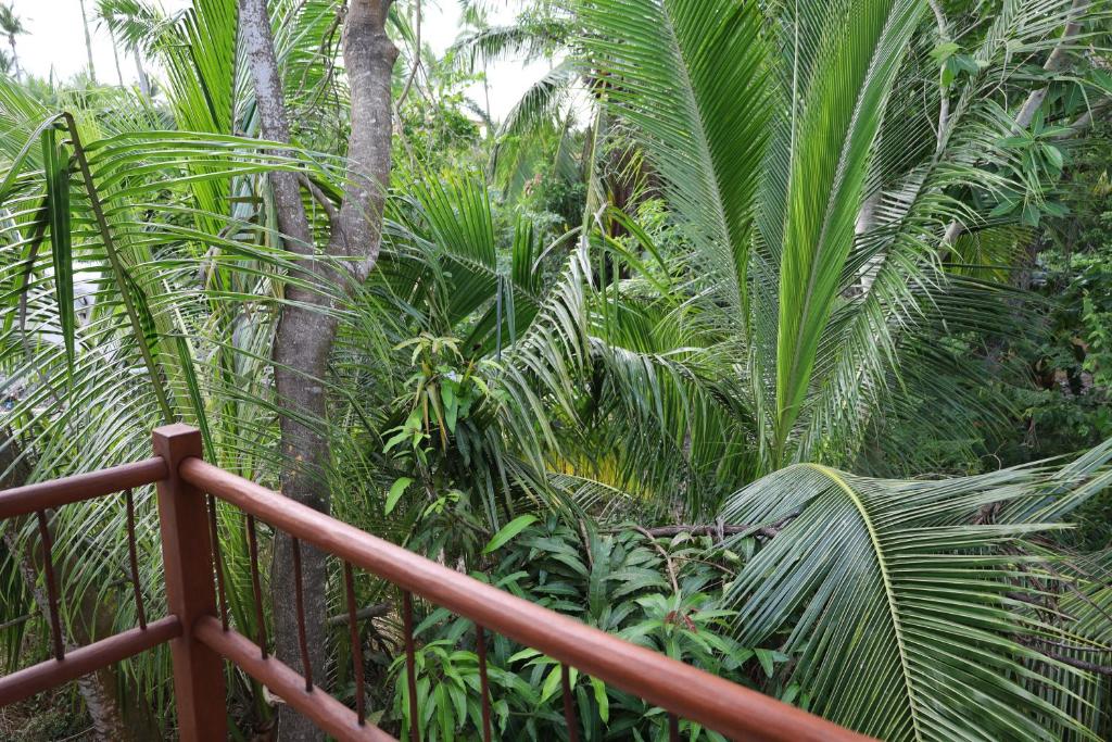 Solez Zihuatanejo - Economy Double Room