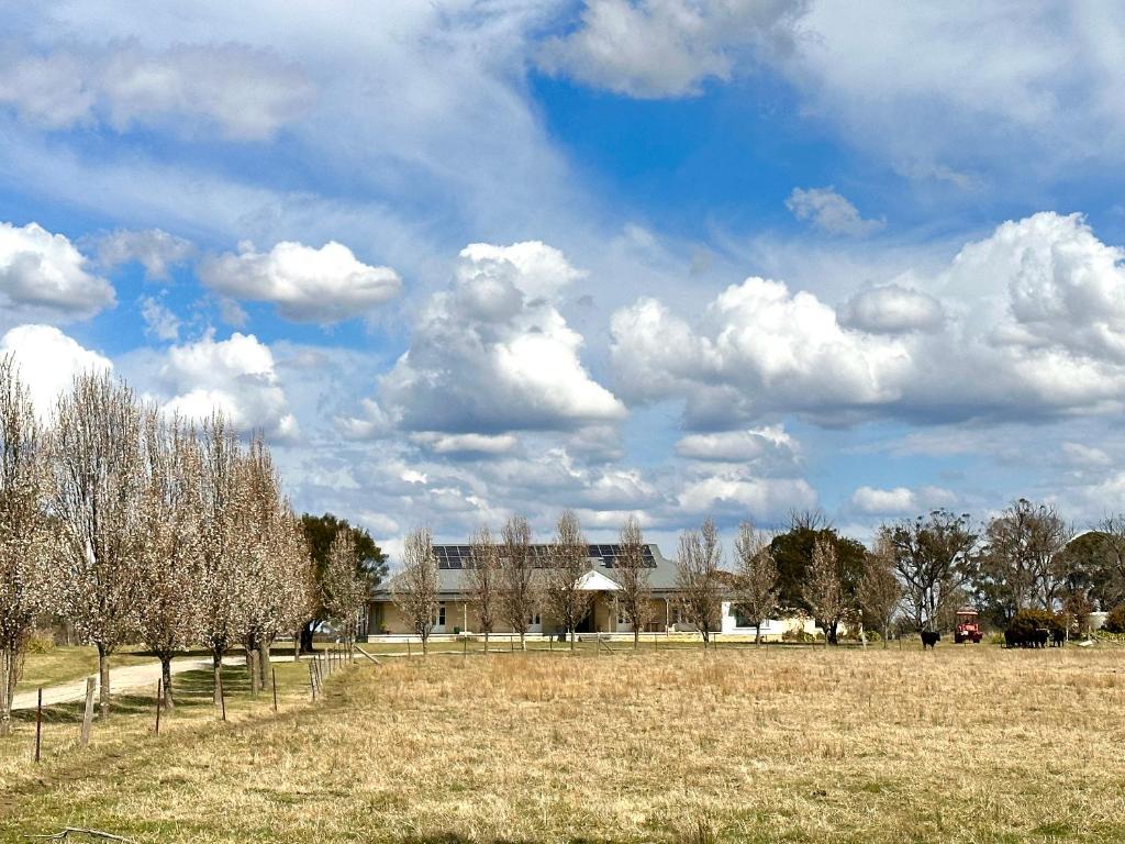 un campo con árboles y un edificio de fondo en The Farm 2460 - Southern Highlands, en Canyonleigh