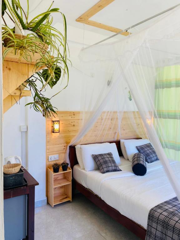 Mount Breeze Ella - 3