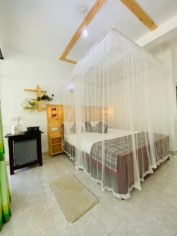 Mount Breeze Ella - 14