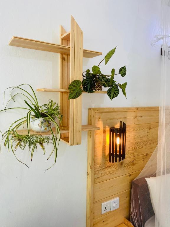 Mount Breeze Ella - 11