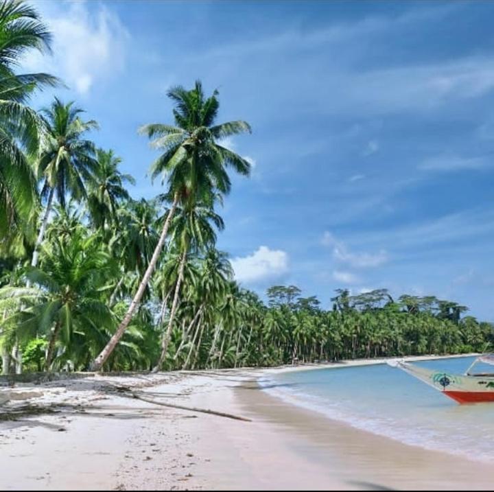 a boat sitting on a beach with palm trees at Port Barton Island Camping in San Vicente