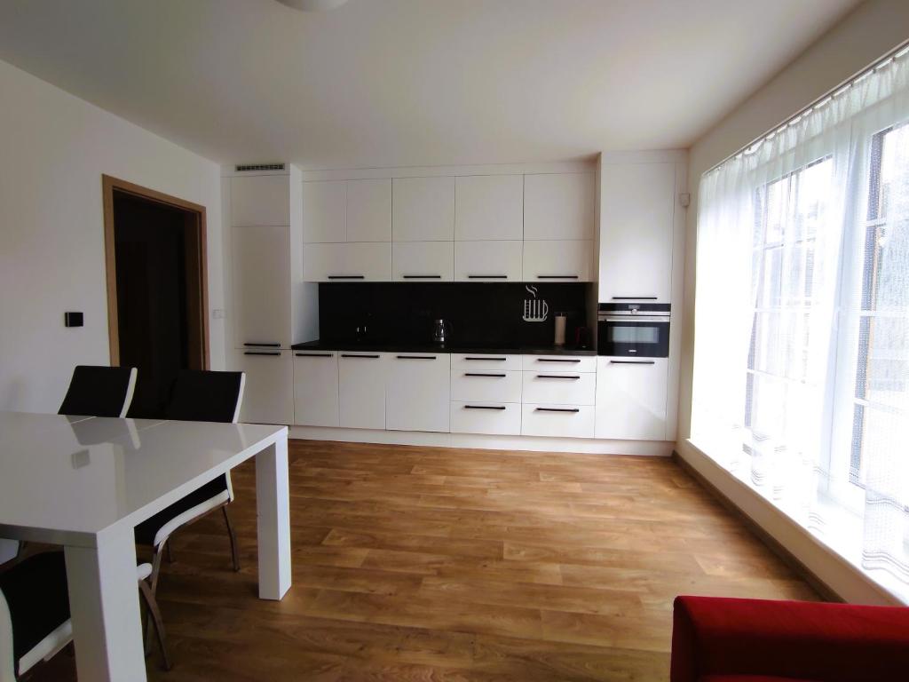 Kuchyň nebo kuchyňský kout v ubytování Apartmány Říčky