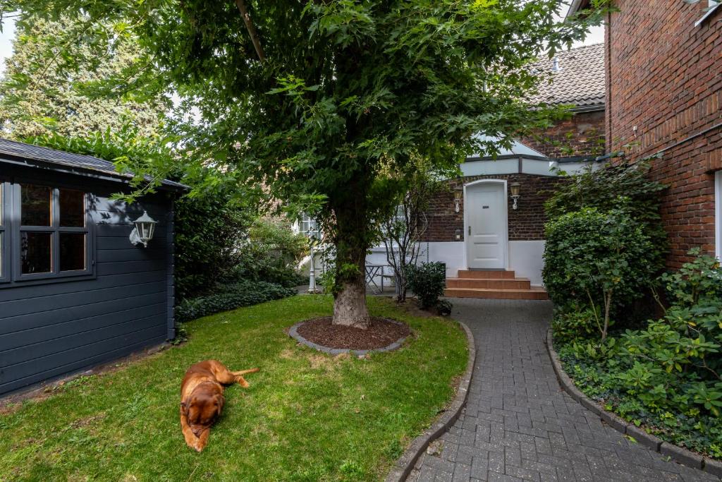 Hotel Fischerhaus - Resim 22