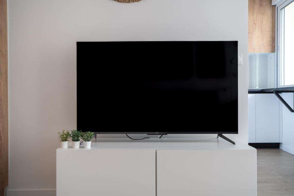Televízia a/alebo spoločenská miestnosť v ubytovaní Studio calme et climatisé au cœur de Cannes