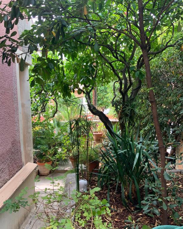 Zahrada ubytování Douceur d'Azur
