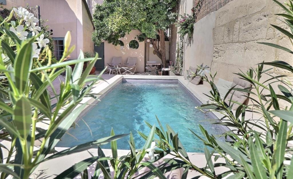 a swimming pool in a yard with plants at La Maison de Cerise in Fourques