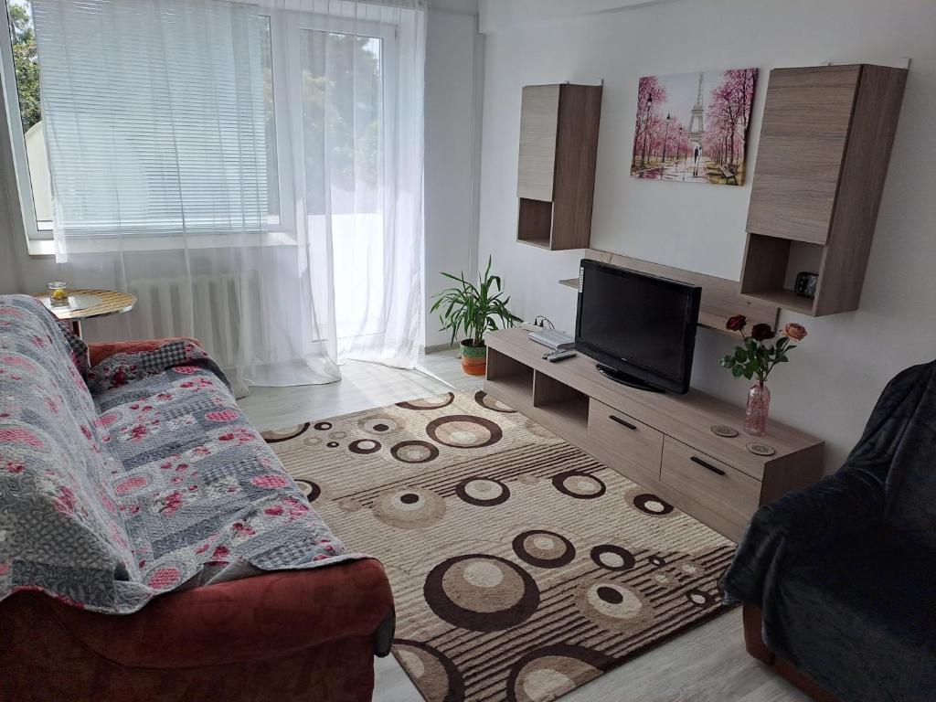 een woonkamer met een bank en een flatscreen-tv bij Bacău Central in Bacău
