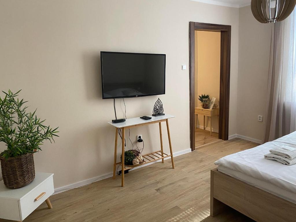 TV a/nebo společenská místnost v ubytování STING Apartments Havířov