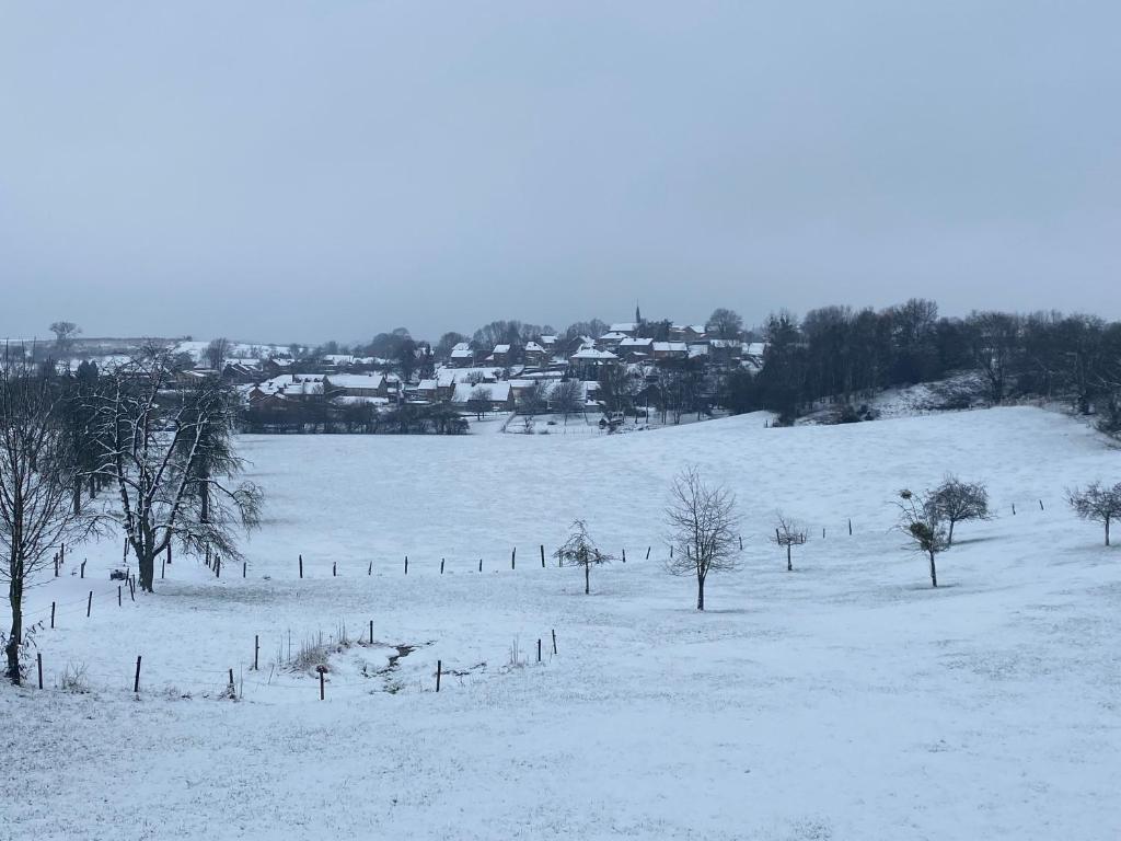 a field covered in snow with trees and houses at The Lodge in Bilzen