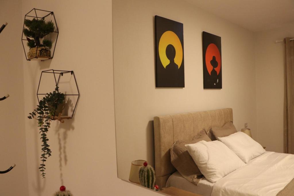 Pine Apartment Tirana - Imazhi 9