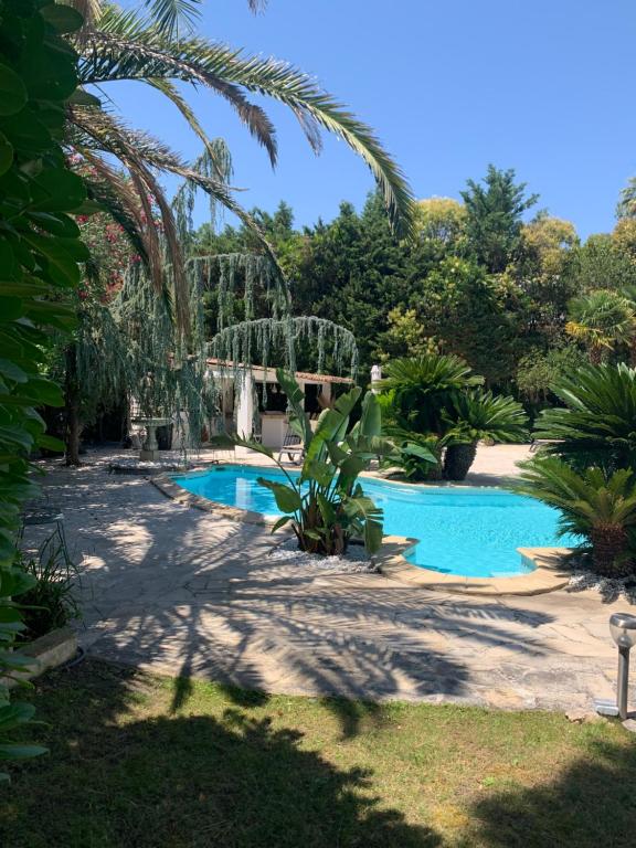 - une piscine dans une cour arborée dans l'établissement Cannes Villa piscine proche centre ville, à Cannes