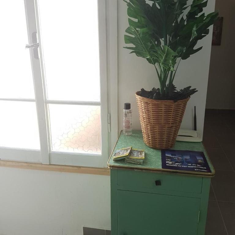 Fotografie z fotogalerie ubytování Sabor Residence v destinaci Lefkosa Turk