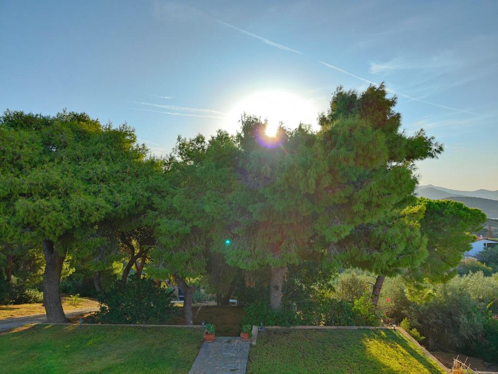 Zdjęcie z galerii obiektu Summer Breeze Villa in Saronic Gulf w mieście Anavissos