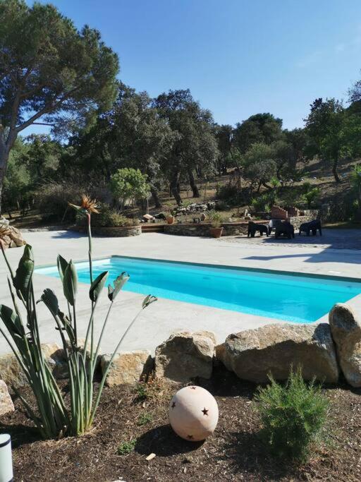 - une piscine bleue avec des rochers dans une cour dans l'établissement Dépendance dans Mas traditionnel avec piscine, à Argelès-sur-Mer