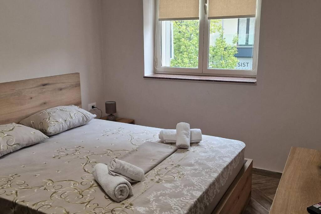 Heart of Tirana Apartment-2 - Image 2