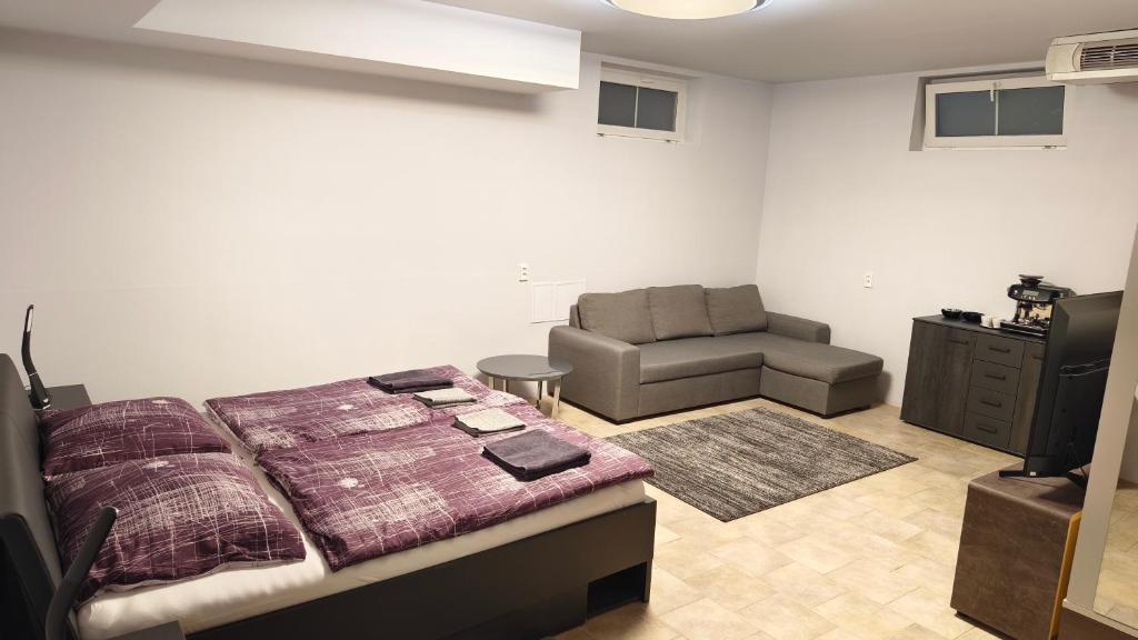 Penzion YORK - Resim 29