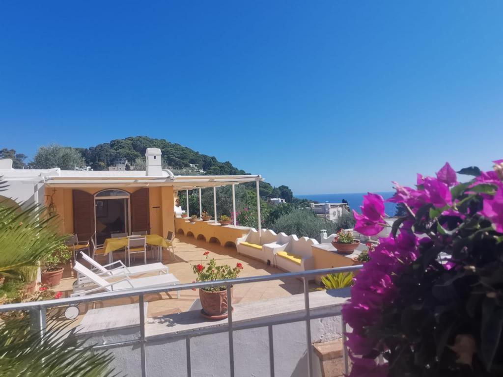 Villa Sea view con terrazza e giardino في كابري: اطلالة المنزل من شرفة مع ورود