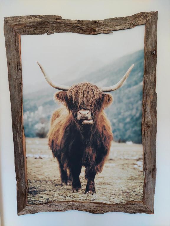 a picture of a bull in a wooden frame at Dolomitenhome Apartments in Patriasdorf