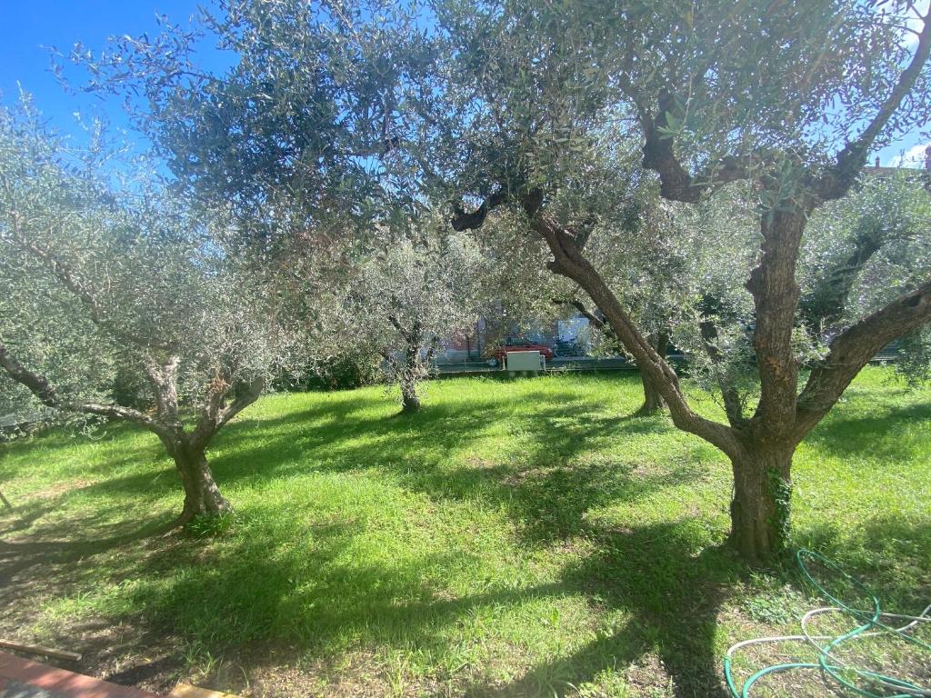 Κήπος έξω από το La Casa di RosaBea