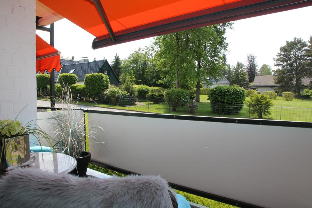 Zahrada ubytování Fichtenwald - Hundefreundlich, Sauna, Pool, Dachterrasse, Wald & See