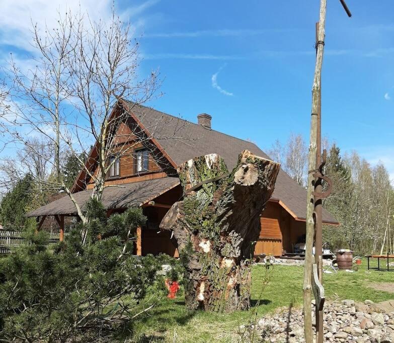 Dom na wakacje na wyłączność PrzyborowieKolonia, Ostrów Mazowiecka