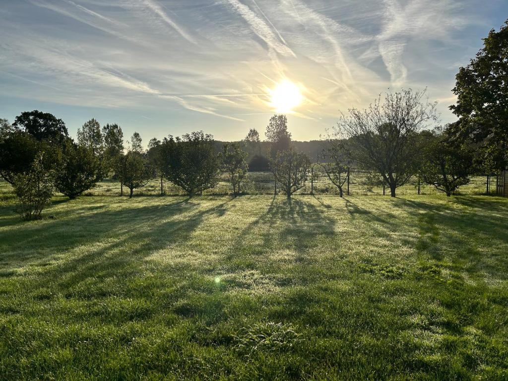 um campo com árvores e o sol no céu em La ferme du paradis em Merris