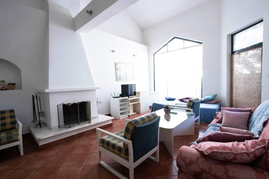 a living room with a couch and a fireplace at Vila Zara in Gevgelija