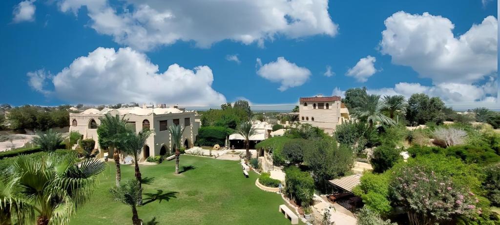A scenic view of Palm Shadow resort in Fayoum, Egypt, featuring elegant villas surrounded by lush greenery, palm trees, and expansive gardens under a bright blue sky with fluffy white clouds.