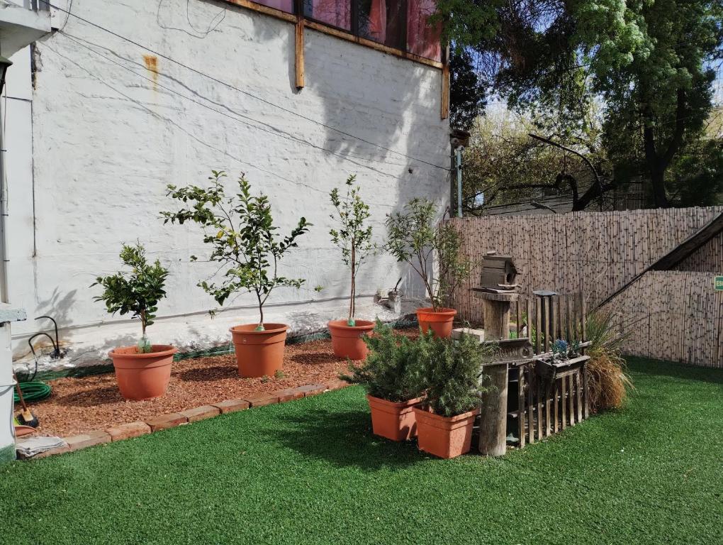 a garden with potted plants on the grass at Mendoza Estudio Urbano II in Mendoza